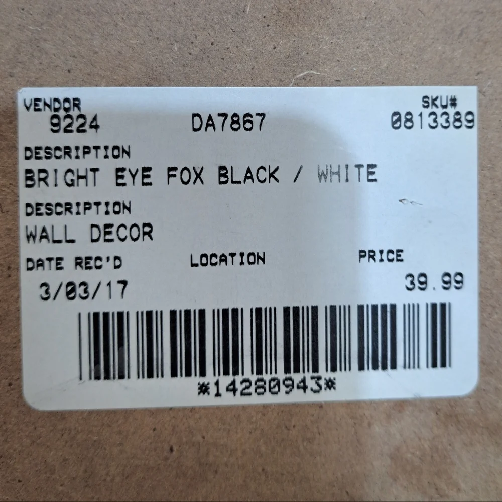 Wall Decor Modern Style Wood Framed Black and White Fox Wall Art‎ 19.5